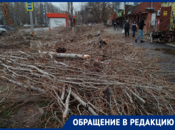 «Скоро город будет совсем лысым»: в новой части Волгодонска вырубили большие деревья