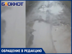 «У председателя улица с асфальтом, у нас – с грязью»: волгодончанка из «Донского сада»