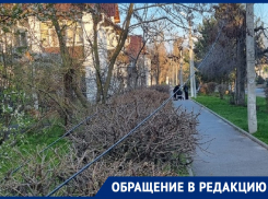 Последствия прошлогоднего циклона «Ольга» все еще мозолят глаза цимлян