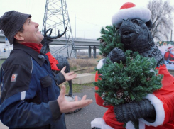 Шиномонтажник-волшебник: Вячеслав Горюнов дарит Волгодонску сказку из старых автопокрышек