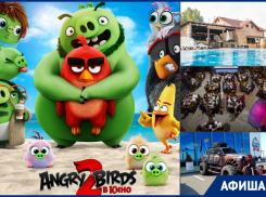 Зрелищные гонки на внедорожниках, жаркие вечеринки в «Рандеву» и новинки в кино: что ждет волгодонцев на этой неделе