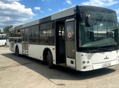 На маршруты Волгодонска добавили два автобуса
