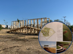 Благоустройство парка «Молодежный» в Волгодонске пройдет под прицелом видеокамер