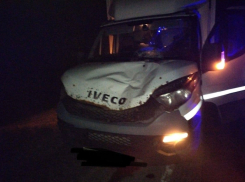 Грузовик насмерть сбил пешехода на автодороге Волгодонск-Морозовск