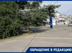 «Зато живые липы спилить - раз плюнуть»: напротив вокзала в Волгодонске деревья оборвали провода