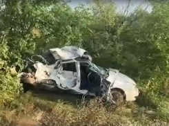 Стали известны подробности семьи, пострадавшей в смертельном ДТП 