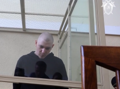 Суд вынес приговор изнасиловавшему и убившему 8-летнюю девочку маньяку в районе трассы Ростов-Волгодонск