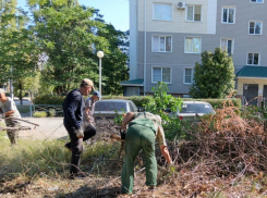 В новом городе коммунальщики ликвидировали свалочный очаг