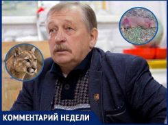 «Это совершенная машина для убийства»: эксперт Александр Липкович о пуме в Цимлянском районе 