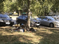 В Волгодонске во дворе по улице Энтузиастов устроили свалку под деревцем
