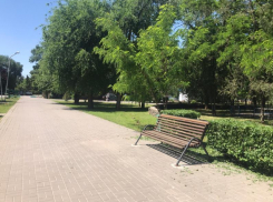 До +31 градуса прогреется воздух сегодня в Волгодонске