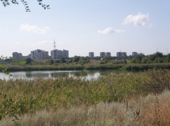 Плановая тренировка по оповещению города пройдет в Волгодонске