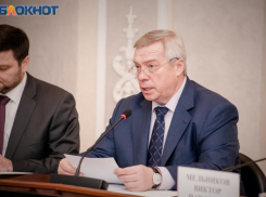 Губернатора Голубева попросили отменить новогодние гулянья в Ростовской области