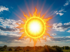 Мы в «оранжевой» зоне: жара, засуха и угроза пожаров надвигаются на Волгодонск