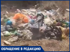«Рыбалка на свалке»: люди превращают место отдыха в помойку