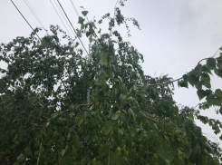 Пасмурная погода сохранится в Волгодонске сегодня 