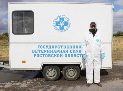 В Зимовниках искали условного ящура