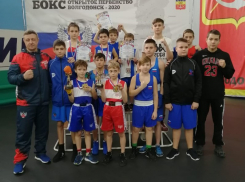 154 спортсмена стали участниками первенства Волгодонска по боксу