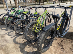 Пора весенних прогулок на велосипедах пришла: проведи время весело и с пользой