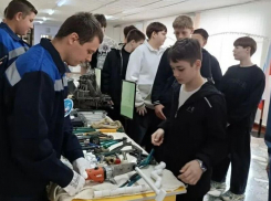 Вакансий меньше, чем людей: искать работу на Всероссийскую ярмарку в Волгодонске пришли более 800 горожан