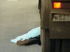 На трассе Ростов - Волгодонск КамАЗ насмерть задавил пешехода