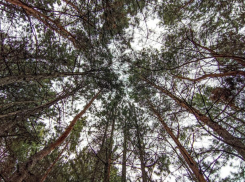 Сильный ветер и обложной дождь: о погоде в Волгодонске на 24 марта 