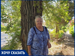 «Это дерево может убить меня или моего внука»: волгодончанка об опасном вязе