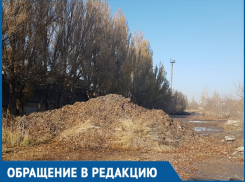 Администрация Волгодонска занимается беспределом, - возмущенный мусорной свалкой читатель 