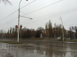 В Волгодонске пошел первый снег
