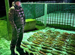 Линейку и точные весы рекомендовали брать на рыбалку волгодонцам 