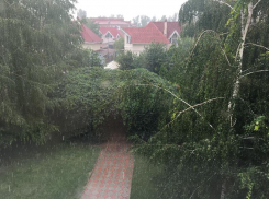 Берегите себя и свои машины: на Волгодонск обрушится ветер со скоростью 60 км/ч