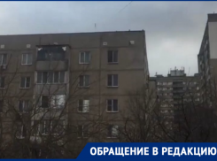 «Сердце кровью обливается»: сердобольная волгодончанка просит открыть вентиляцию для голубей 