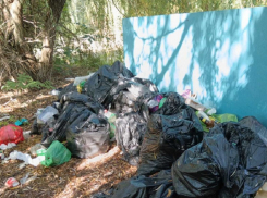 Все битком: тысячи волгодонцев притащили на пляж три самосвала с мусором 