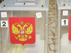 Проголосовать за поправки в Конституцию можно будет на открытом воздухе у собственного подъезда 