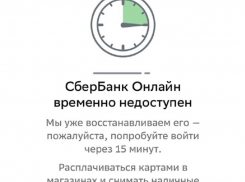 «Сбер слег»: волгодонцы массово жалуются на сбой в работе приложения
