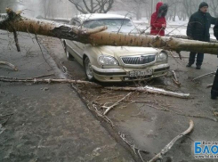 Волгодонцы начинают подсчитывать ущерб от мартовской непогоды