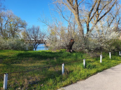 Солнечный, но ветреный вторник будет в Волгодонске 