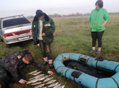 На Салу задержали мелкого браконьера 