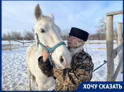 Жеребенка убило вражеским осколком: его испуганную и обмороженную маму из-под обстрела привезли в станицу Романовскую