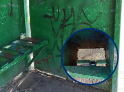 «Заменить урны в этом году не представляется возможным»: у Волгодонска нет денег на замену бездонных урн 