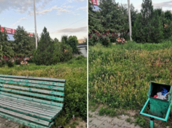 В Волгодонске собрали подписи в поддержку благоустройства Торговой площади