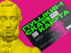 Жителей Ростовской области призвали заменить «Пушкинскую карту»