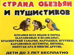 Экзотические обитатели тропиков прибудут в Волгодонск