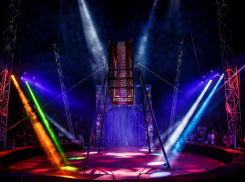 20 волгодонцев смогут бесплатно* сходить на цирковое представление «Happy Circus**»