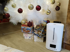 Как наполнить дом ароматом настоящей ёлки, даже если она искусственная