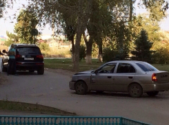 Волгодонск не может и дня прожить без ДТП, или Во всем виноваты кусты - читатель