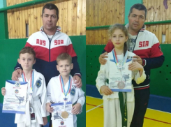 Воспитанники Игоря Виниченко успешно выступили на кубке Дона по тхэквондо