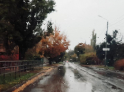 Пасмурно и дождливо будет сегодня в Волгодонске 