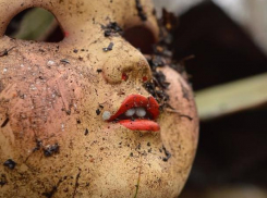 Подозреваемую в жестоком убийстве новорожденного задержали морозовские полицейские  