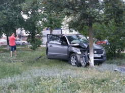Выпивший мужчина на «Судзуки» снес школьный забор и влетел в дерево